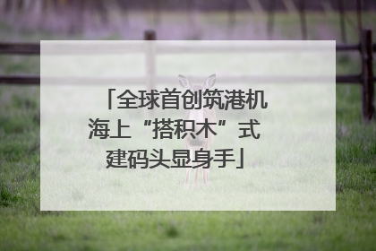 全球首创筑港机海上“搭积木”式建码头显身手